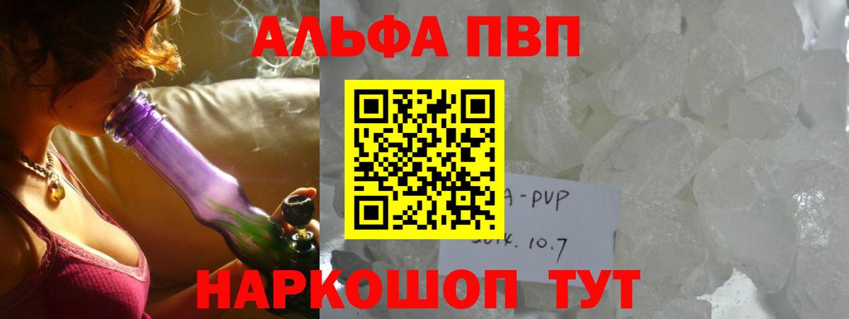 Alfa_PVP СК КРИС Котлас