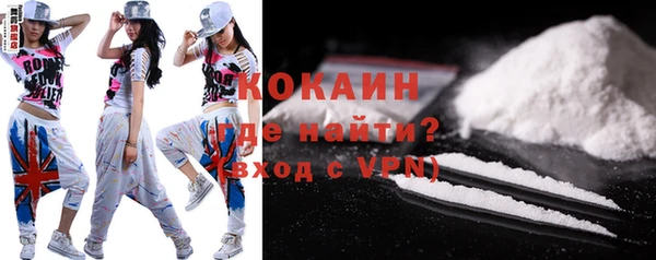 МДПВ Нея
