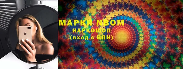 МДПВ Нея