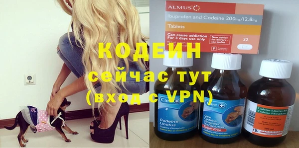 МДПВ Нея