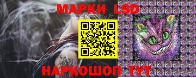 стафф Заволжье