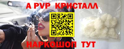 стаф Камышлов