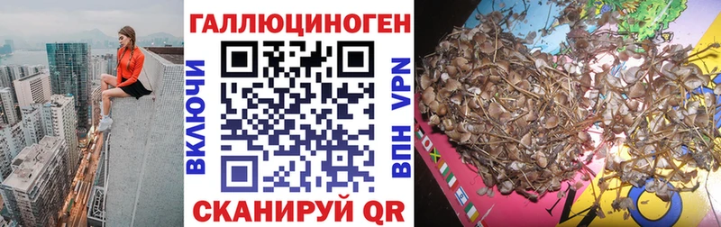 Галлюциногенные грибы ЛСД  даркнет сайт  Котлас 