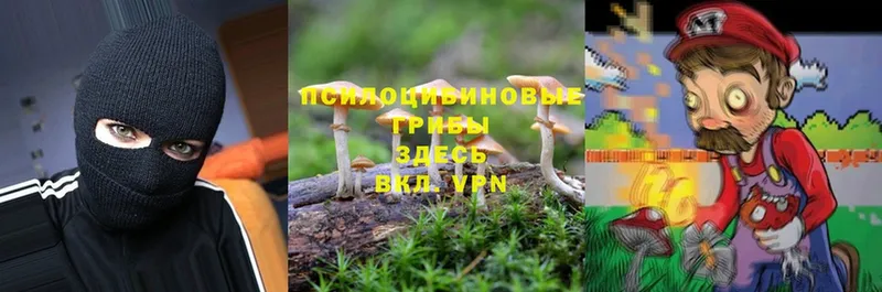 Псилоцибиновые грибы Magic Shrooms  Котлас 