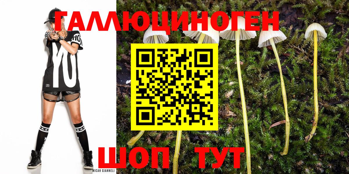 Галлюциногенные грибы Psilocybine cubensis  где найти наркотики  Галлюциногенные грибы ЛСД  Котлас 