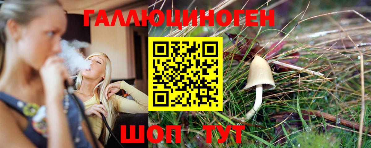 купить  цена  Псилоцибиновые грибы ЛСД  Вход с VPN  Котлас 